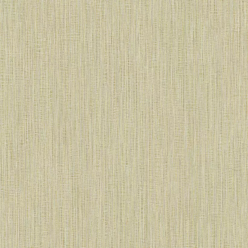 25855 catalogo muresco importado Fivers