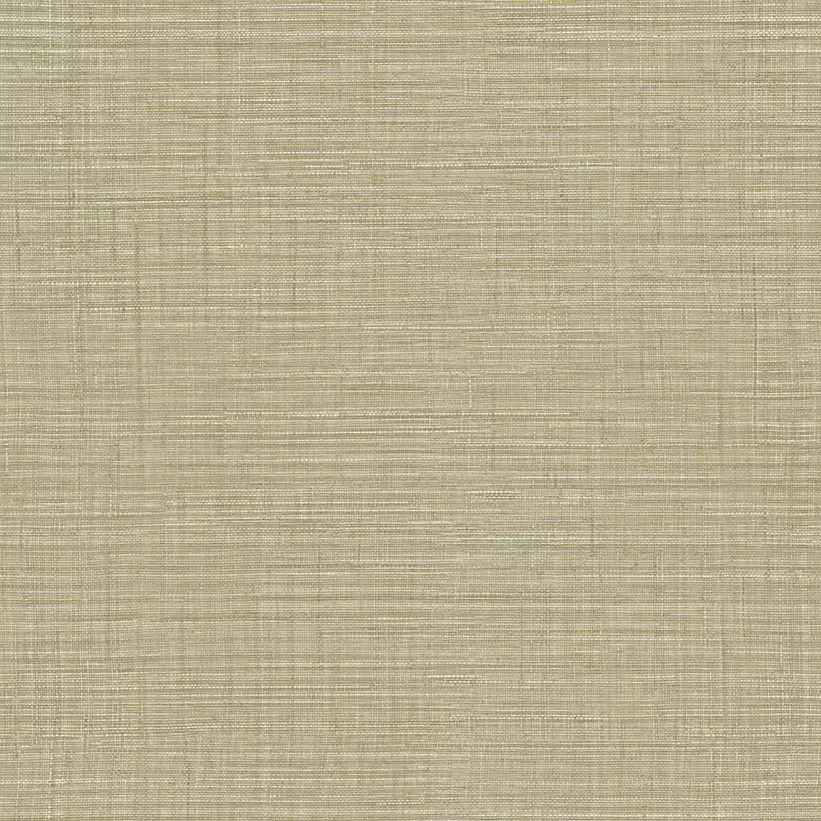 25876 catalogo muresco importado Fivers