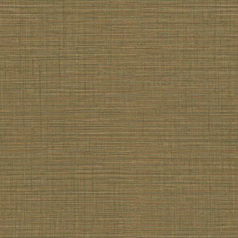 25877 catalogo muresco importado Fivers